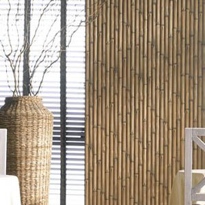 Bamboo Collection