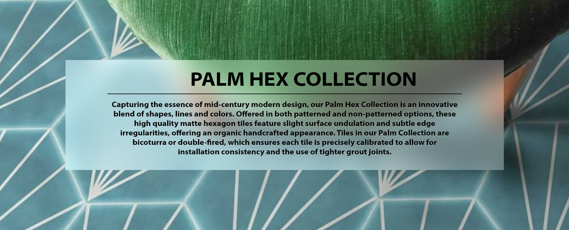 Palm Hex Collection