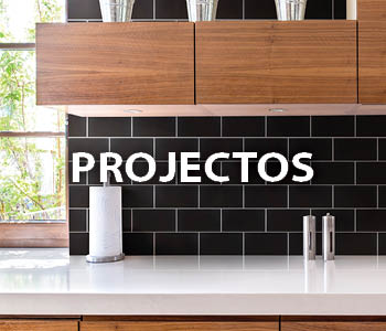 Projectos Collection