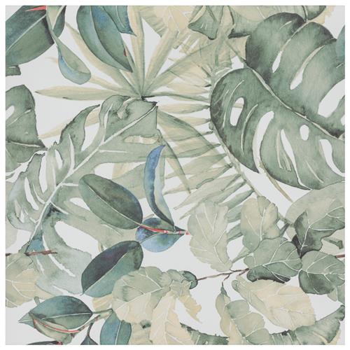 Imagine Botanical Tropic 19-3/8"x19-3/8" Porcelain F/W Tile
