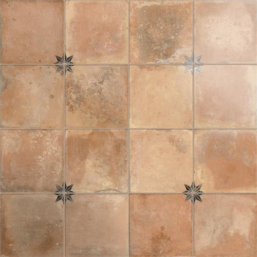 Kings Nonna w/Black Star 17-7/8"x17-7/8" Porc F/W Tile