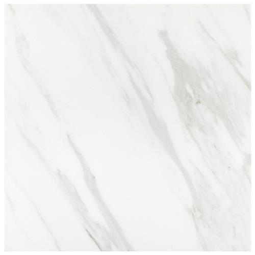 Picture of Eterno Carrara 9-3/4"x9-3/4" Porcelain F/W Tile