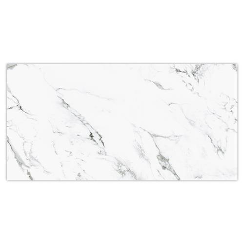 Picture of Timeless Calacatta 12-7/8"x25-5/8" Porcelain F/W Tile
