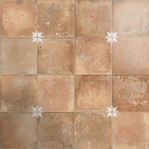 Picture of Kings Nonna w/White Star 17-7/8"x17-7/8" Porc F/W Tile