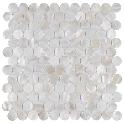 Picture of Conchella Penny White 11-1/4"x11-5/8" Nat Seashell Mos